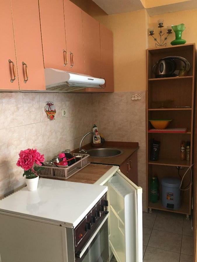 Ani Apartment Ohrid Exteriör bild